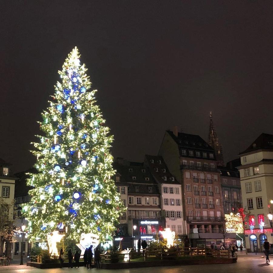 Apartment Loft Saint Thomas - Petite France Strasbourg