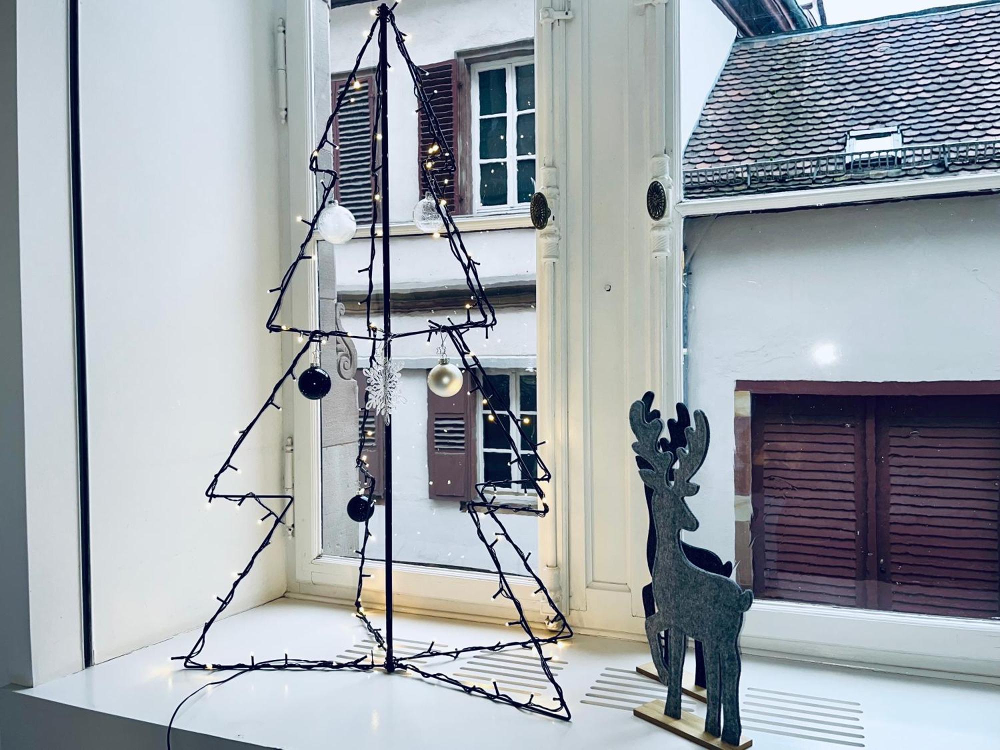Loft Saint Thomas - Petite France Apartment